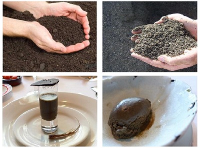 В японском ресторане посетителям предлагают отведать блюда с грязью