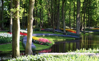 В Нидерландах открылся самый большой в Европе парк цветов