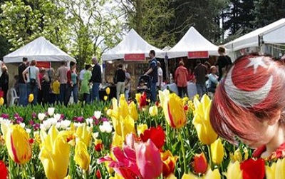 Стамбул готовится к 8-му Международному фестивалю тюльпанов
