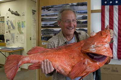 Американский турист поймал 200-летнего громадного морского окуня у берегов штата Аляска